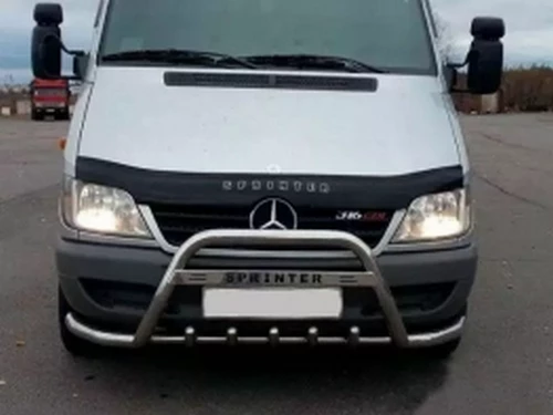 Кенгурятник Mercedes Sprinter W901 (95-06) - з вусами 3