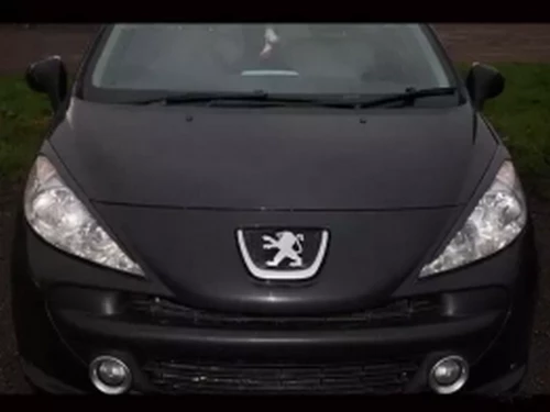 Вії на фари Peugeot 207 (06-12) 4