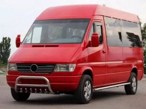 Кенгурятник Mercedes Sprinter W901 (95-06) - з грилем 4