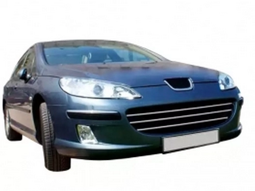 Хром накладки на решітку Peugeot 407 (04-11) 4