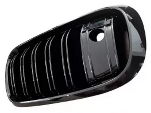 Решітка BMW X5 F15 / X6 F16 (13-19) - M-стиль (під камеру) 3