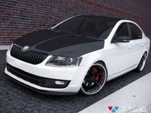 Спліттер передній Skoda Octavia A7 (13-) - V.2 3