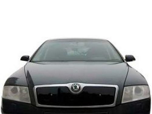 Зимняя накладка на решётку Skoda Octavia A5 (09-12) - верхняя 4