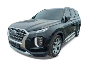 Hyundai Palisade (2019-) with side steps 4