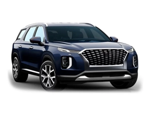 Hyundai Palisade (2019-) without side steps 4