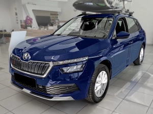 Skoda Kamiq (NW4; 2019-2024) 8